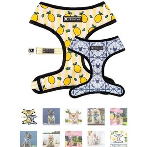 Reversible dog harness